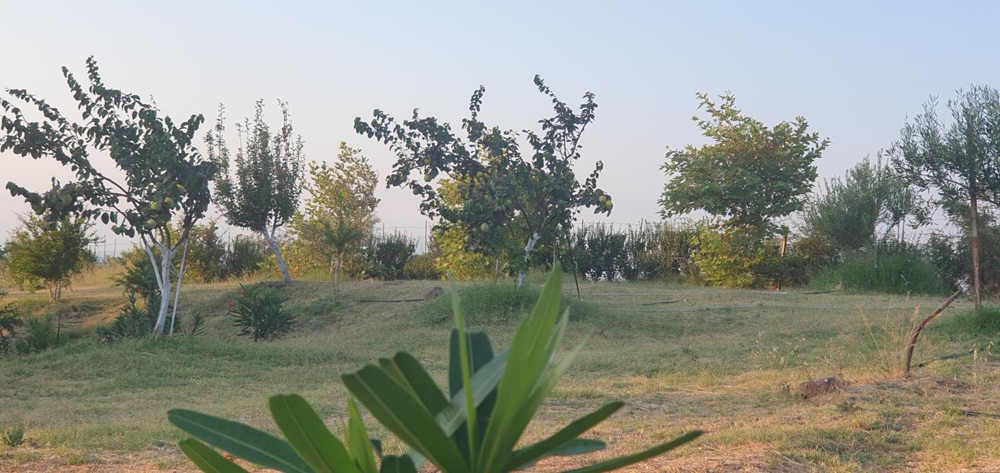 Boutique Myesis * Samothraki
