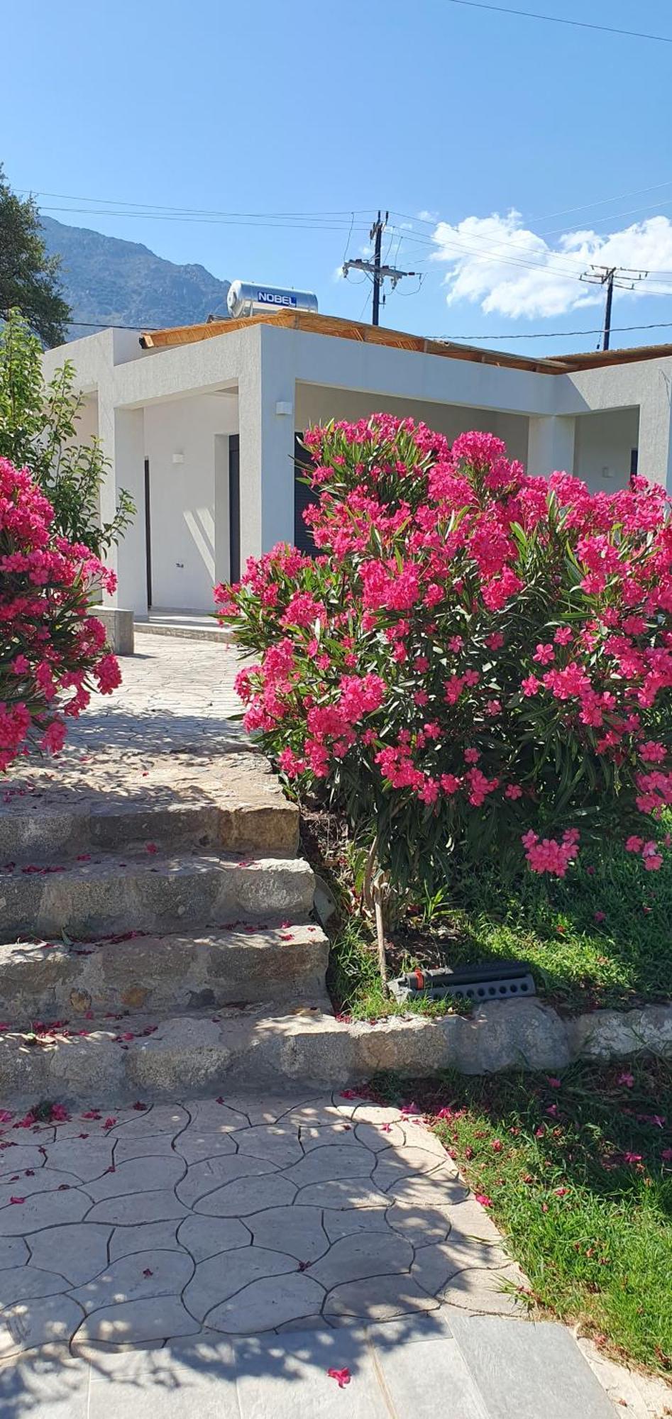 Boutique Myesis Samothraki
